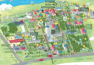 карта ЦВКс им Пирогова